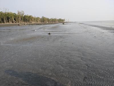 Sandee - Tengragiri Eco Park Beach