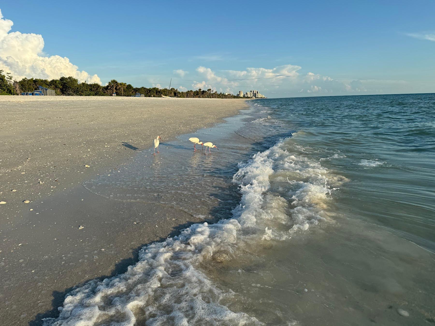 Sandee Pelican Bay Beach North Photo