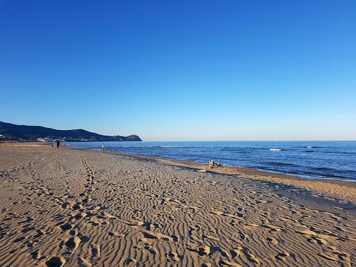 Sandee - Plage De Cabo Negro