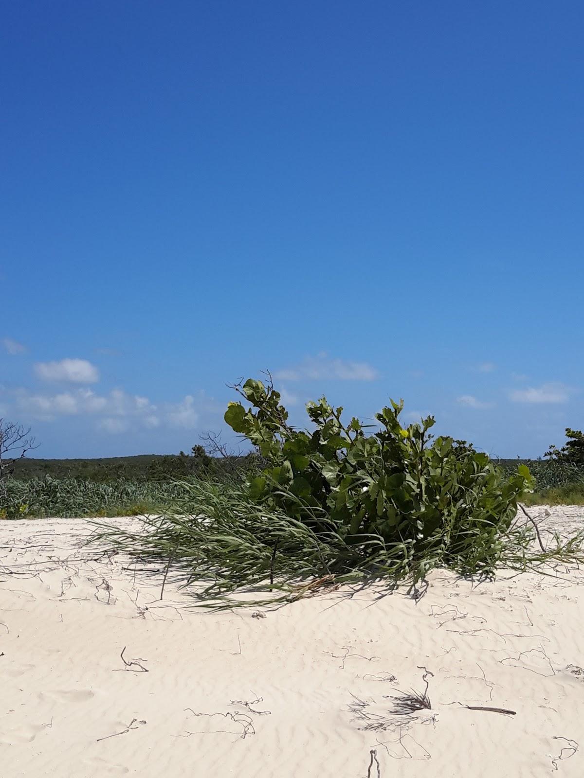 Sandee - Snow Bay Beach