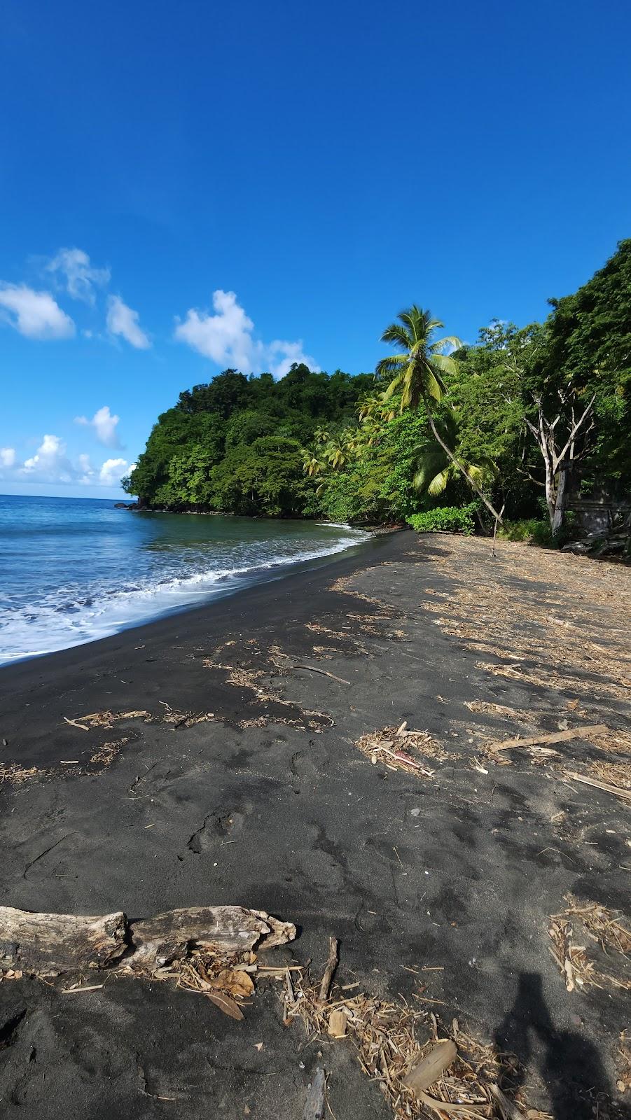 Sandee Black Bay Beach
