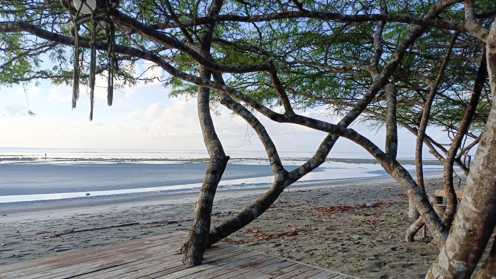 Sandee Aroma Beach Palawan Photo