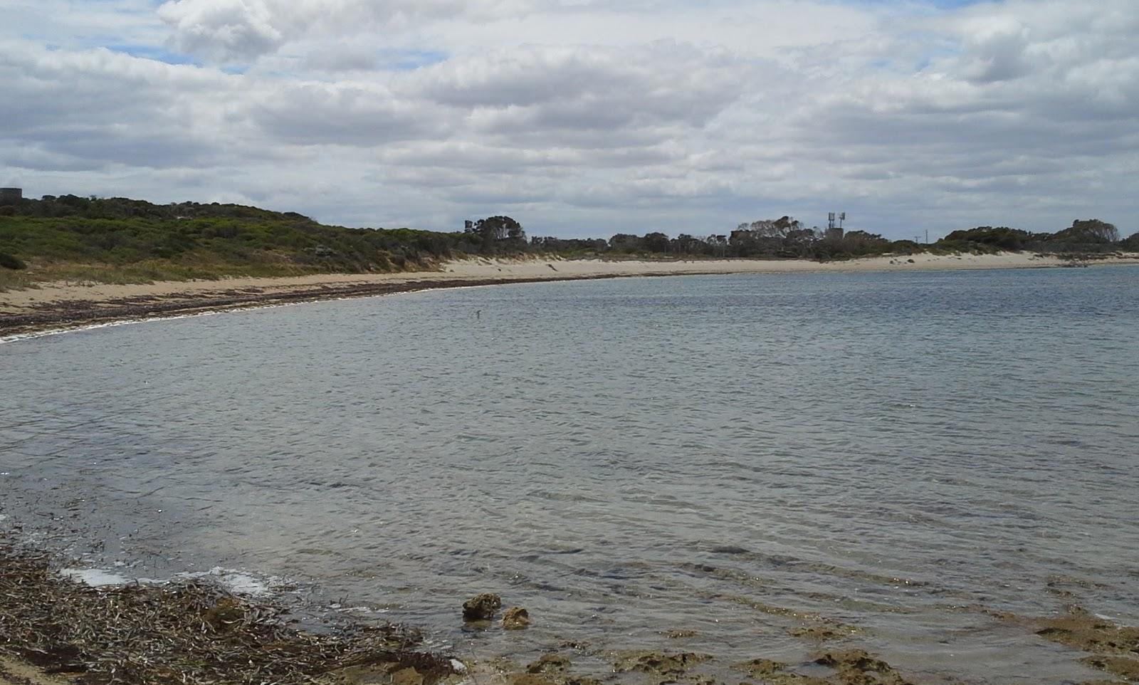 Sandee Shoalwater Bay