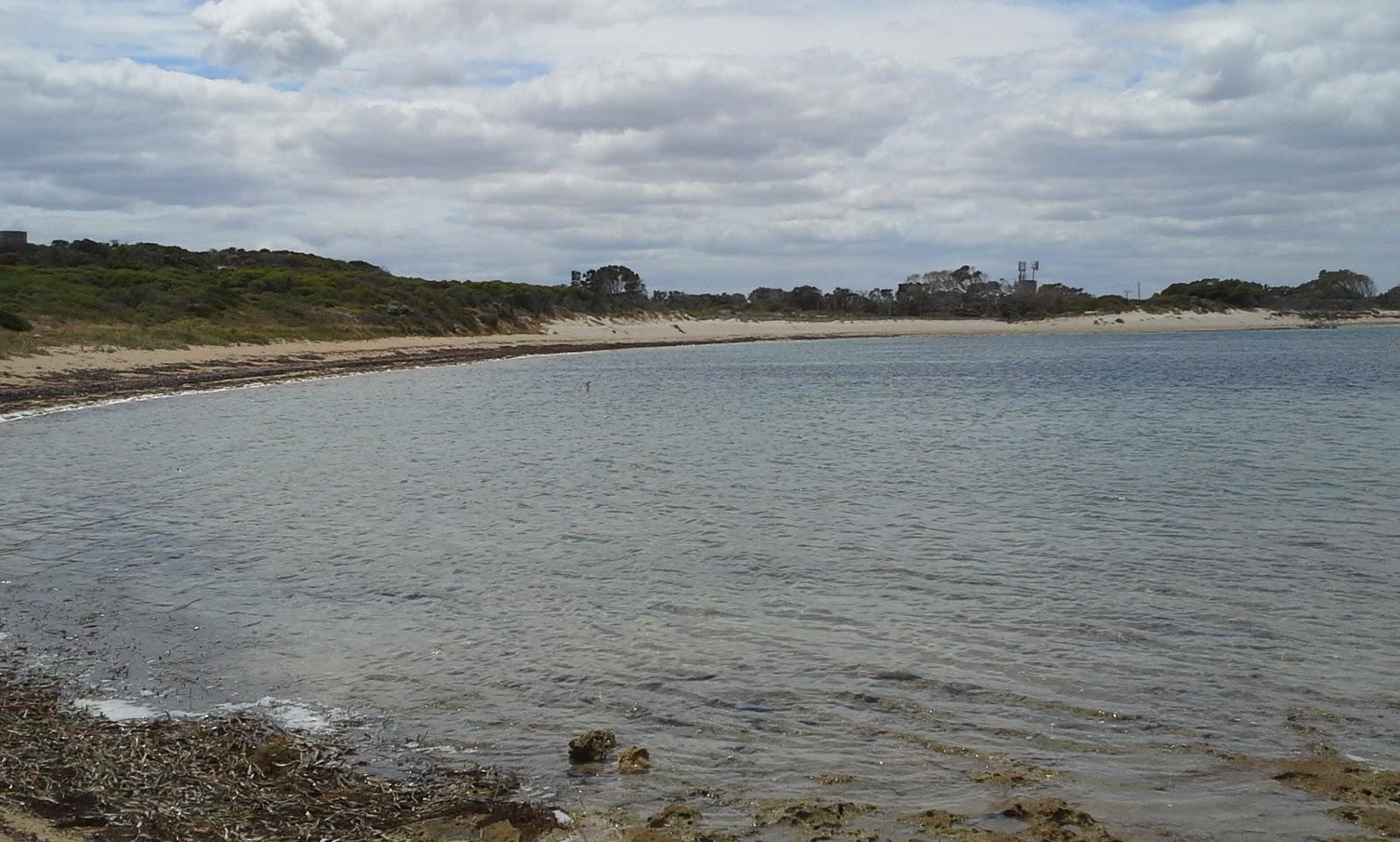 Sandee Shoalwater Bay Photo