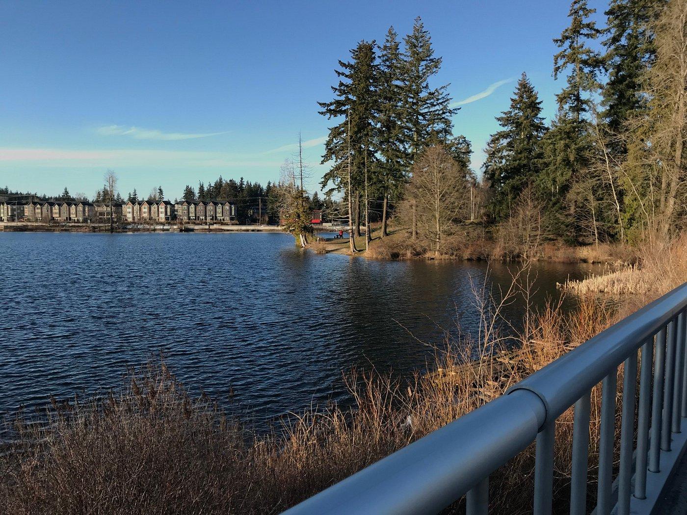 Sandee Green Lantern Park