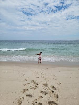 Sandee - Island Beach State Park