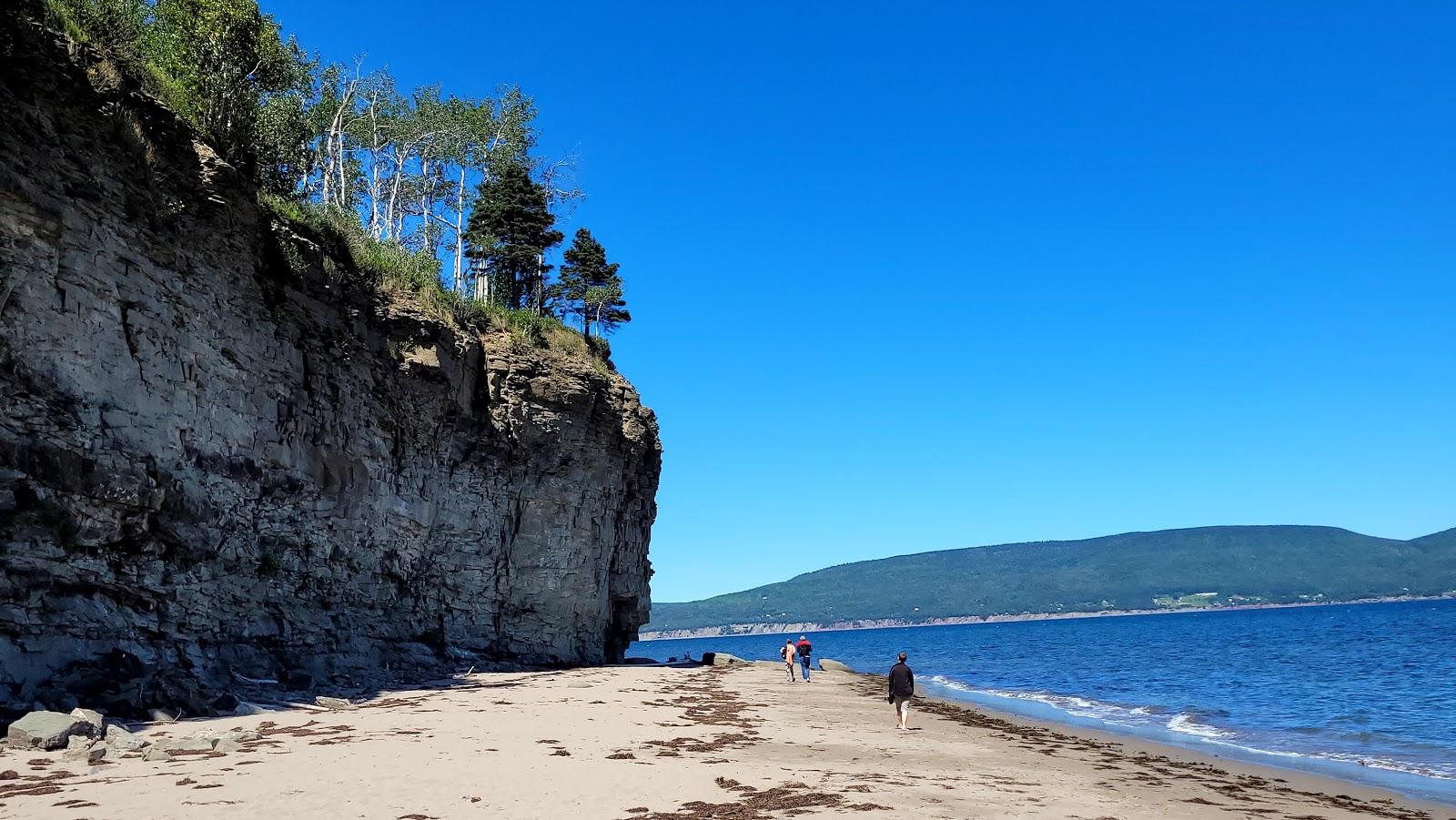 Sandee Haldimand Beach