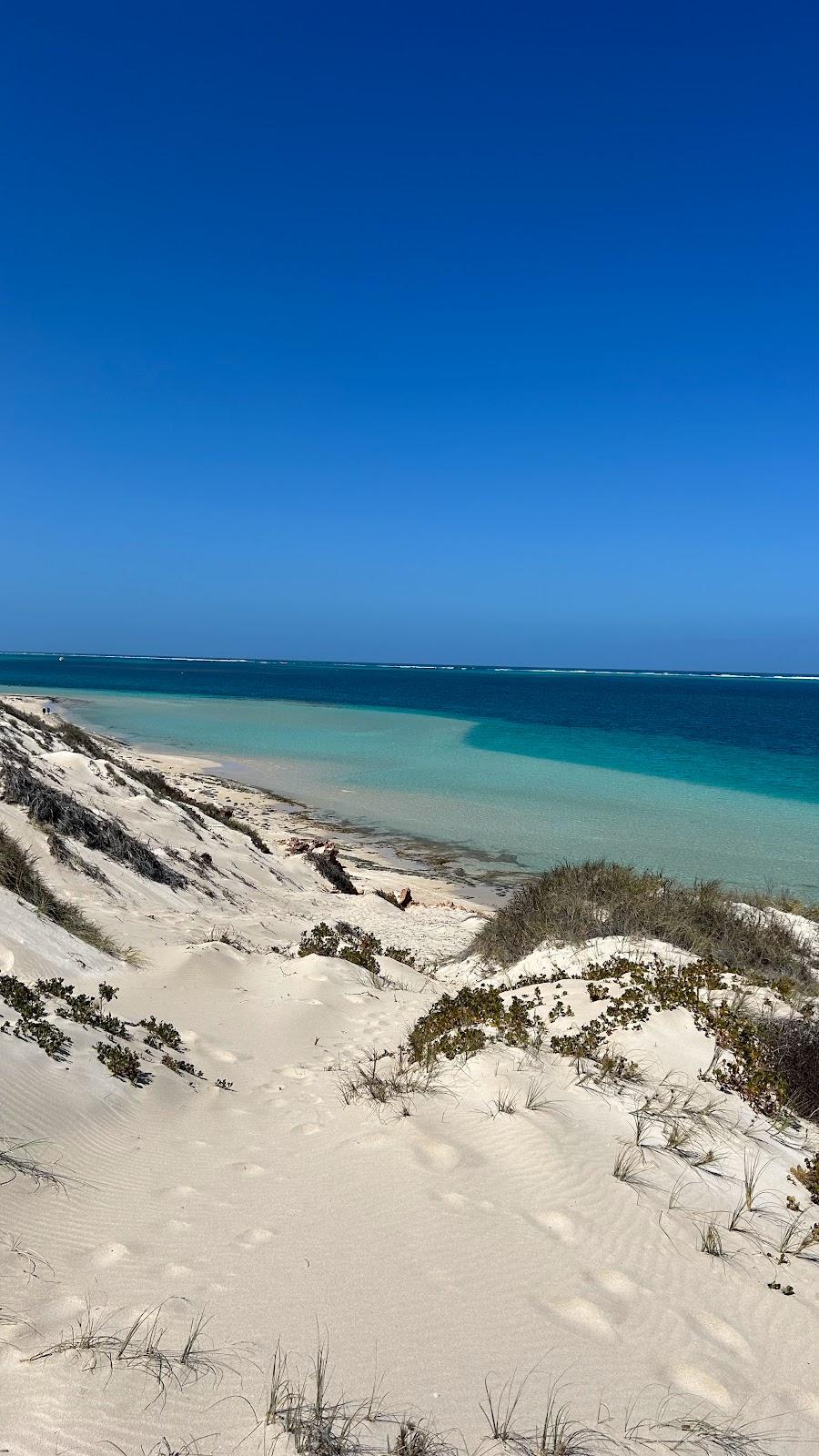 Sandee Paradise Beach