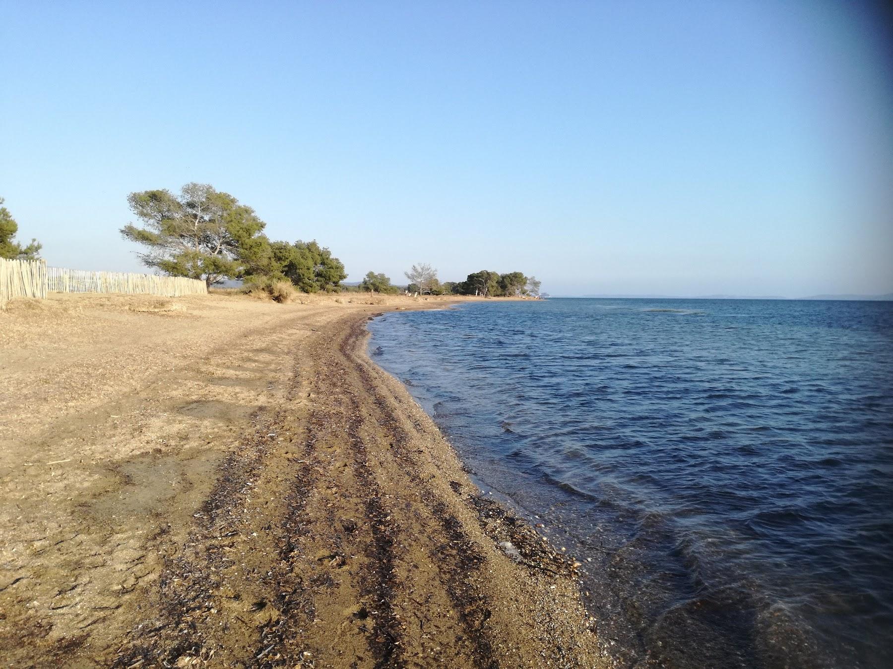 Sandee Plage Des Vieux Salins Photo