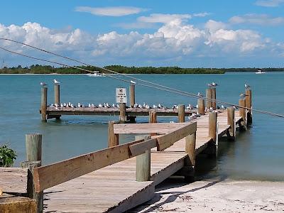 Sandee - Surfside Park