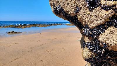 Sandee - Praia Da Terra Nova