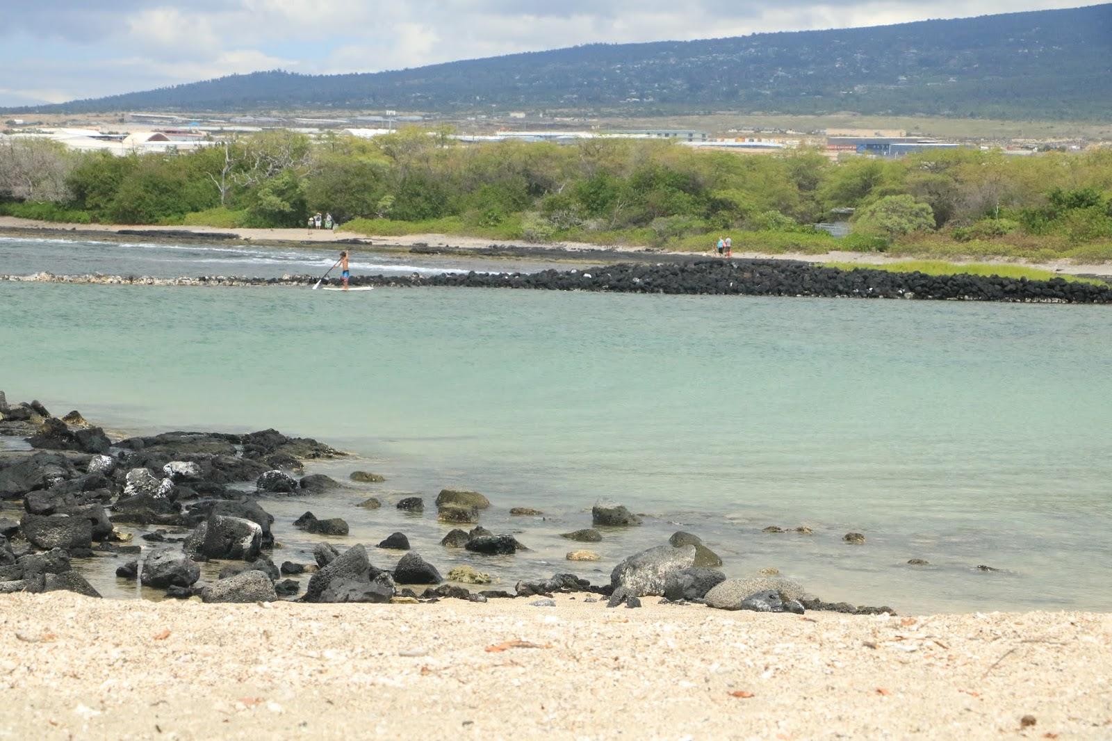 Sandee - Honokohau Bay Beach