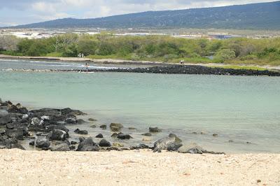 Sandee - Honokohau Bay Beach