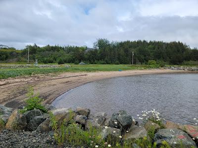 Sandee - Murphy's Pond Beach