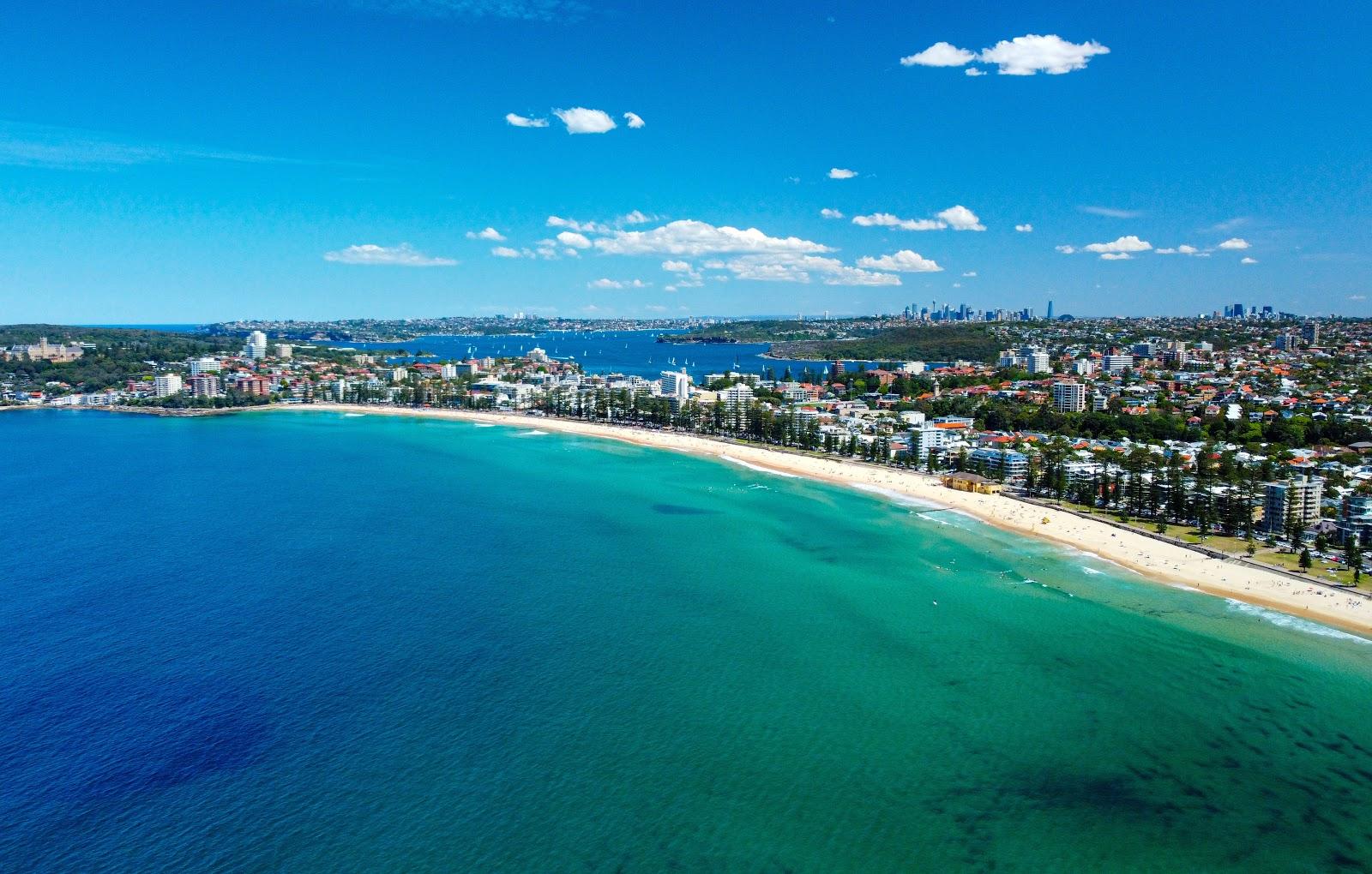 Sandee Queenscliff Beach Photo