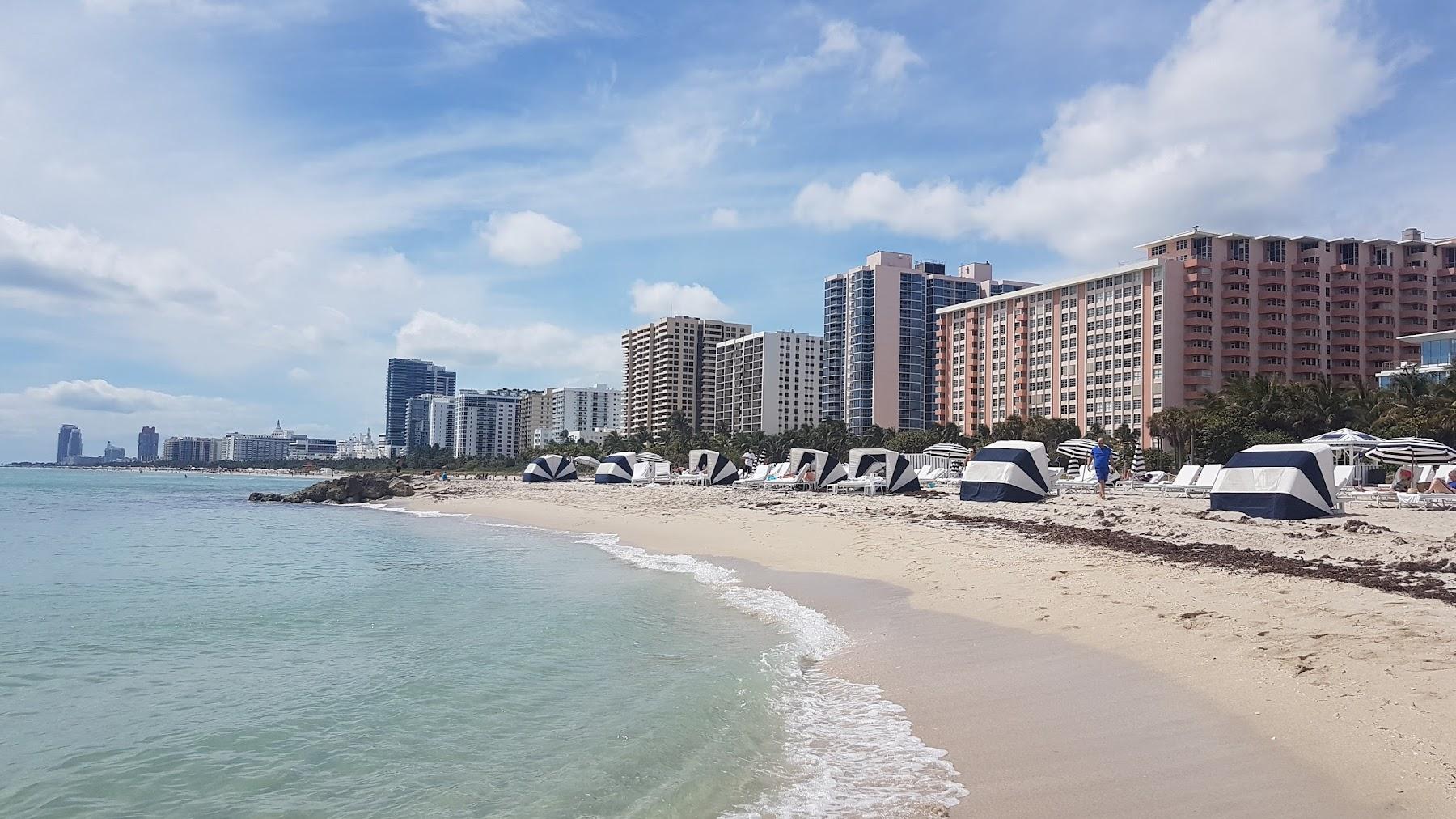 Sandee Miami Beach