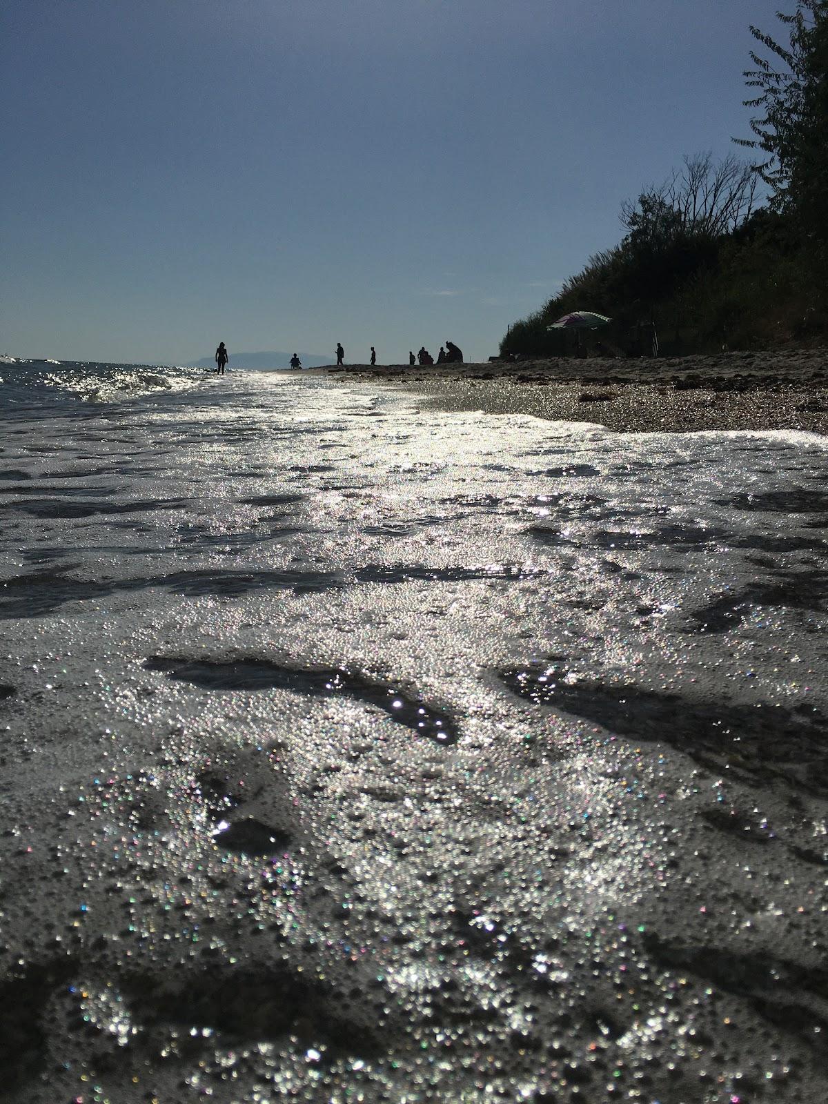 Sandee Marmara Coast Site