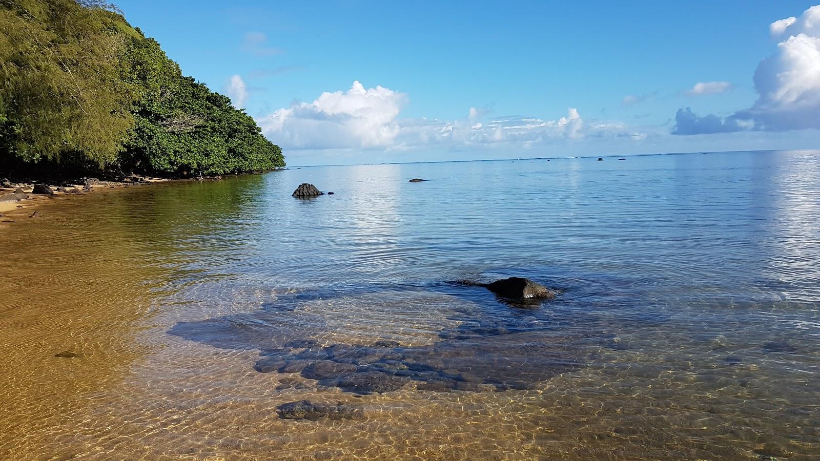 Sandee - Wyllie Beach