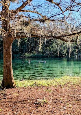 Sandee - Alexander Springs Recreation Area