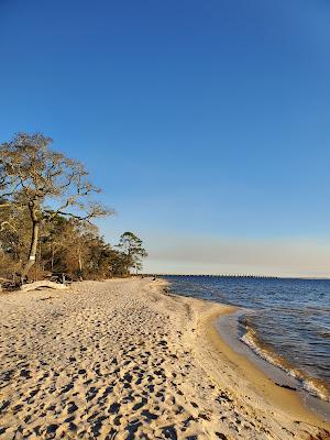 Sandee - White Point Beach