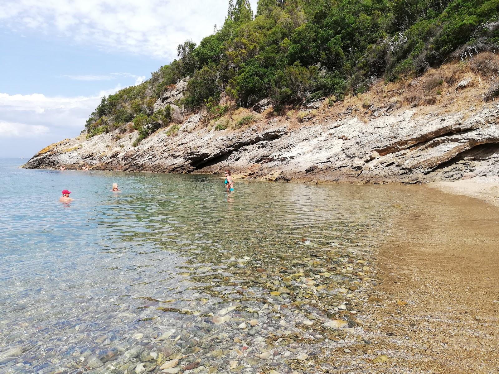 Sandee Spiaggia Di Buzzancone O Cera