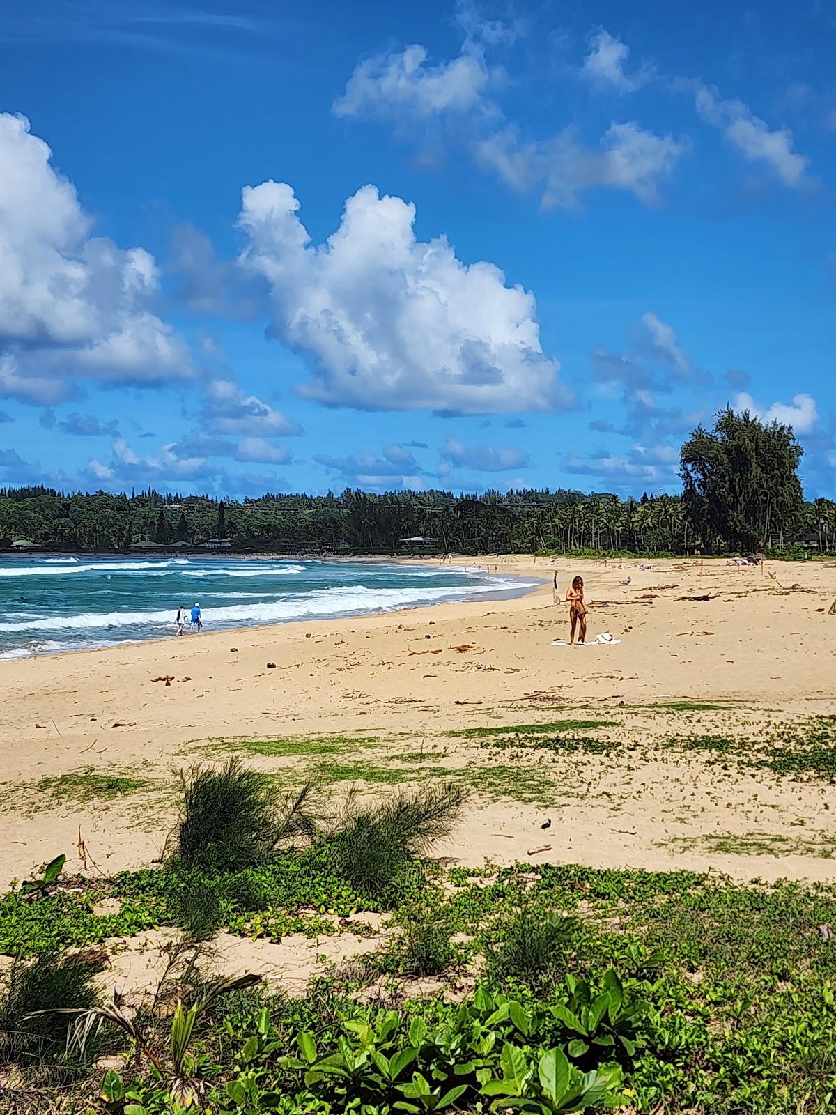 Sandee - Waioli Beach Park