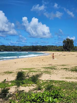 Sandee - Waioli Beach Park