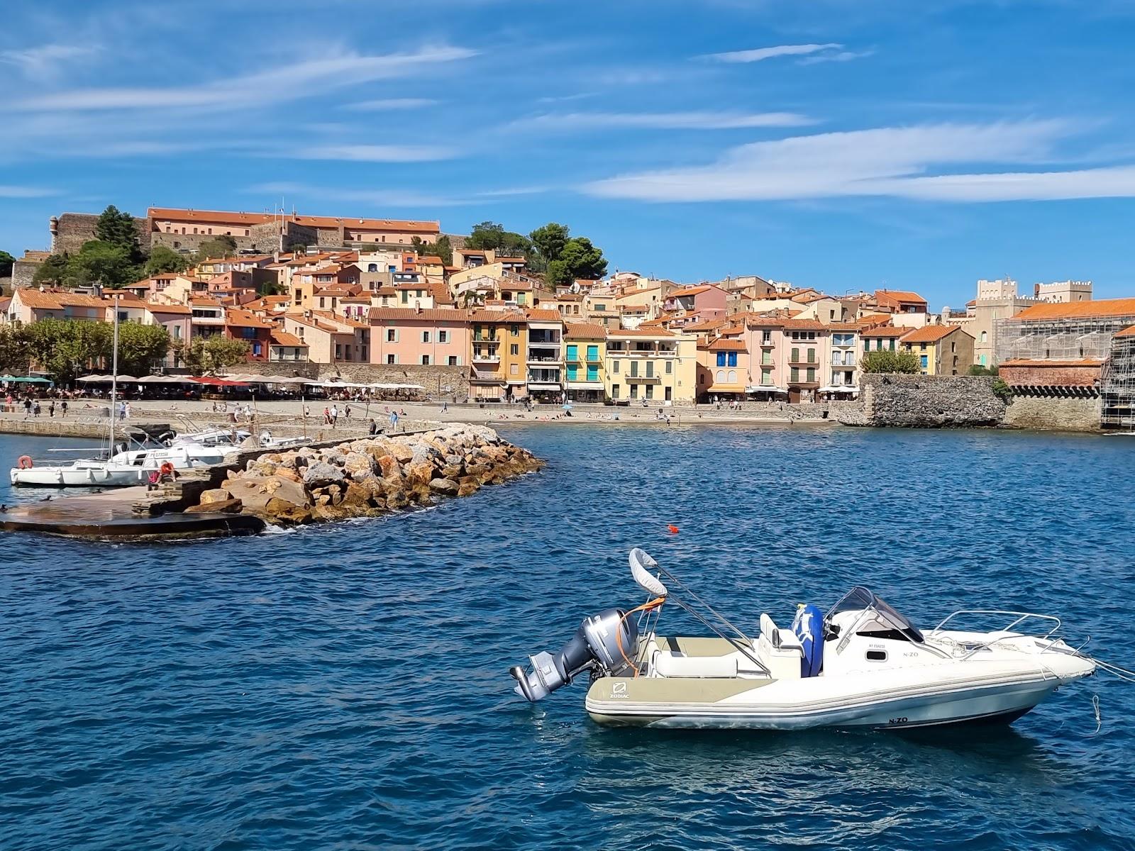 Sandee Plage de Collioure Photo