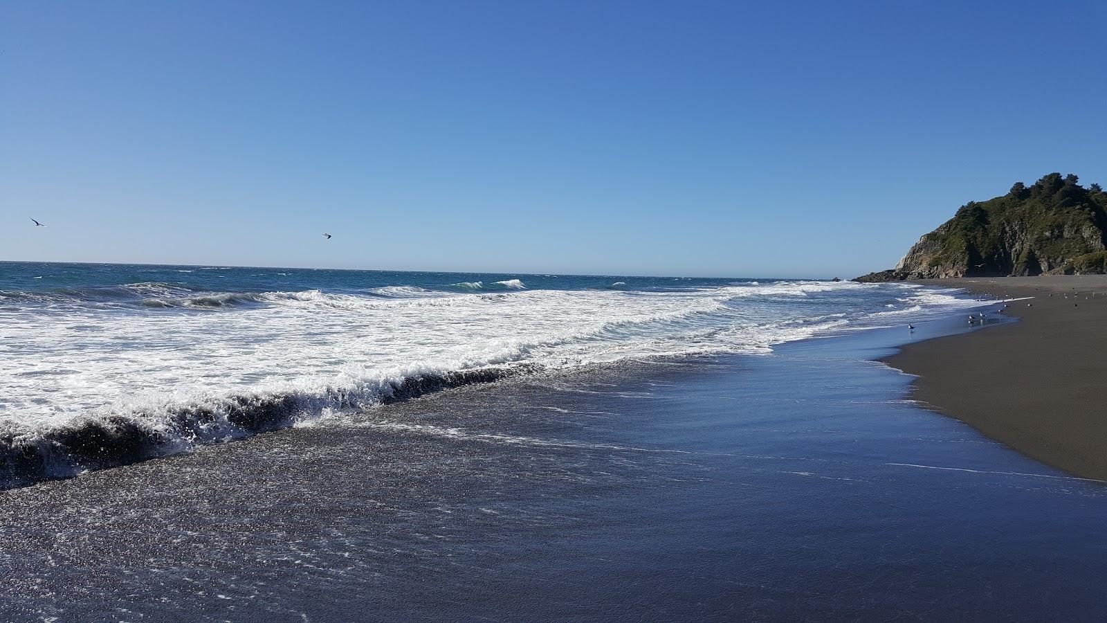 Sandee Potrerillos Beach
