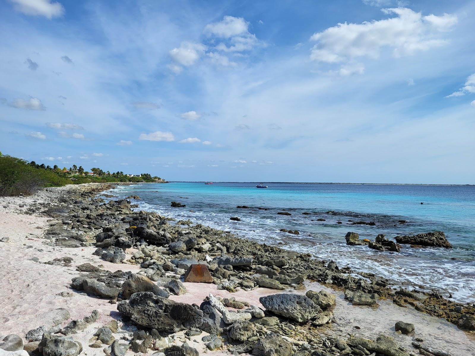 Sandee Andrea II Dive Site