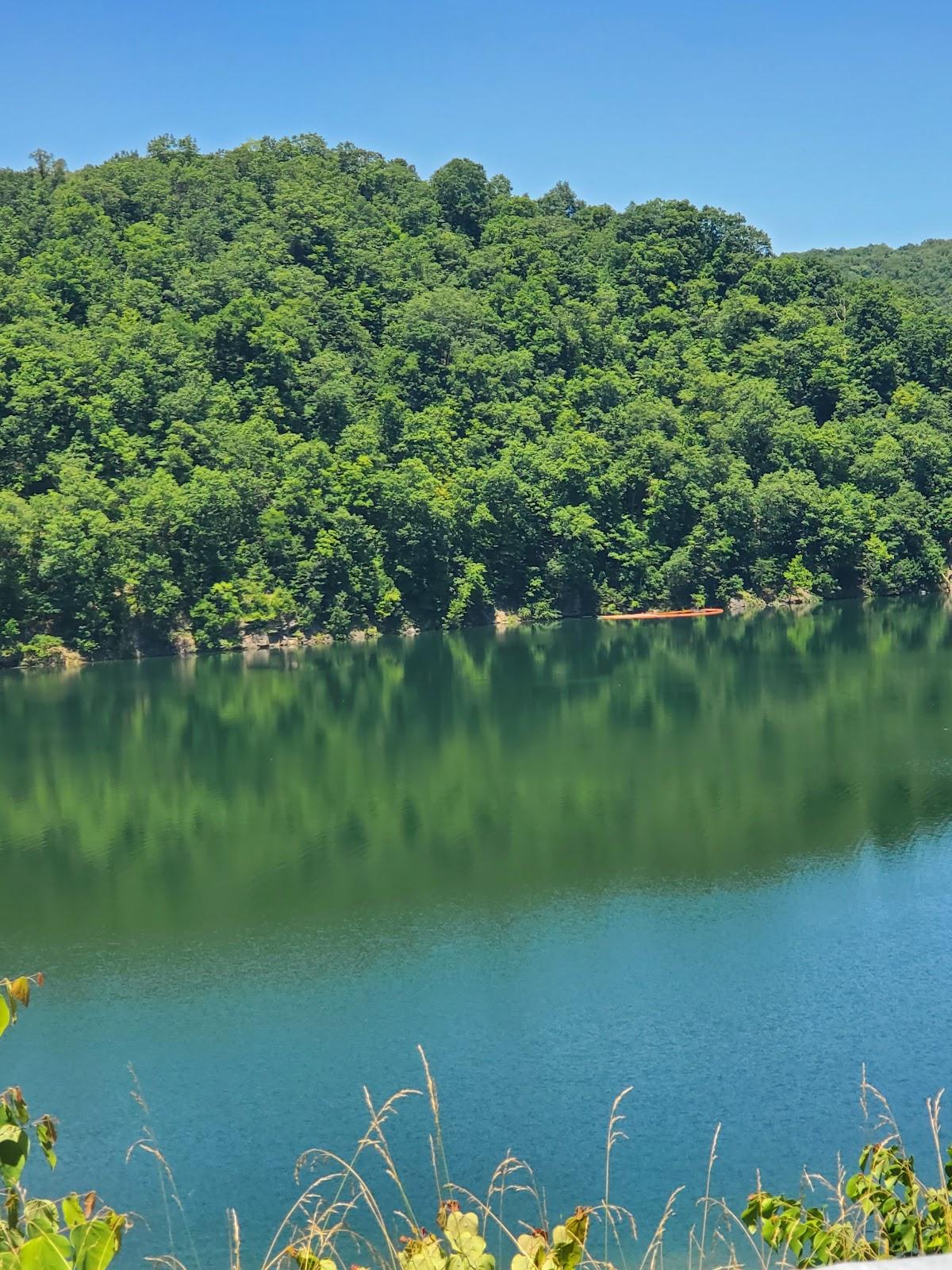 Sandee Sutton Lake