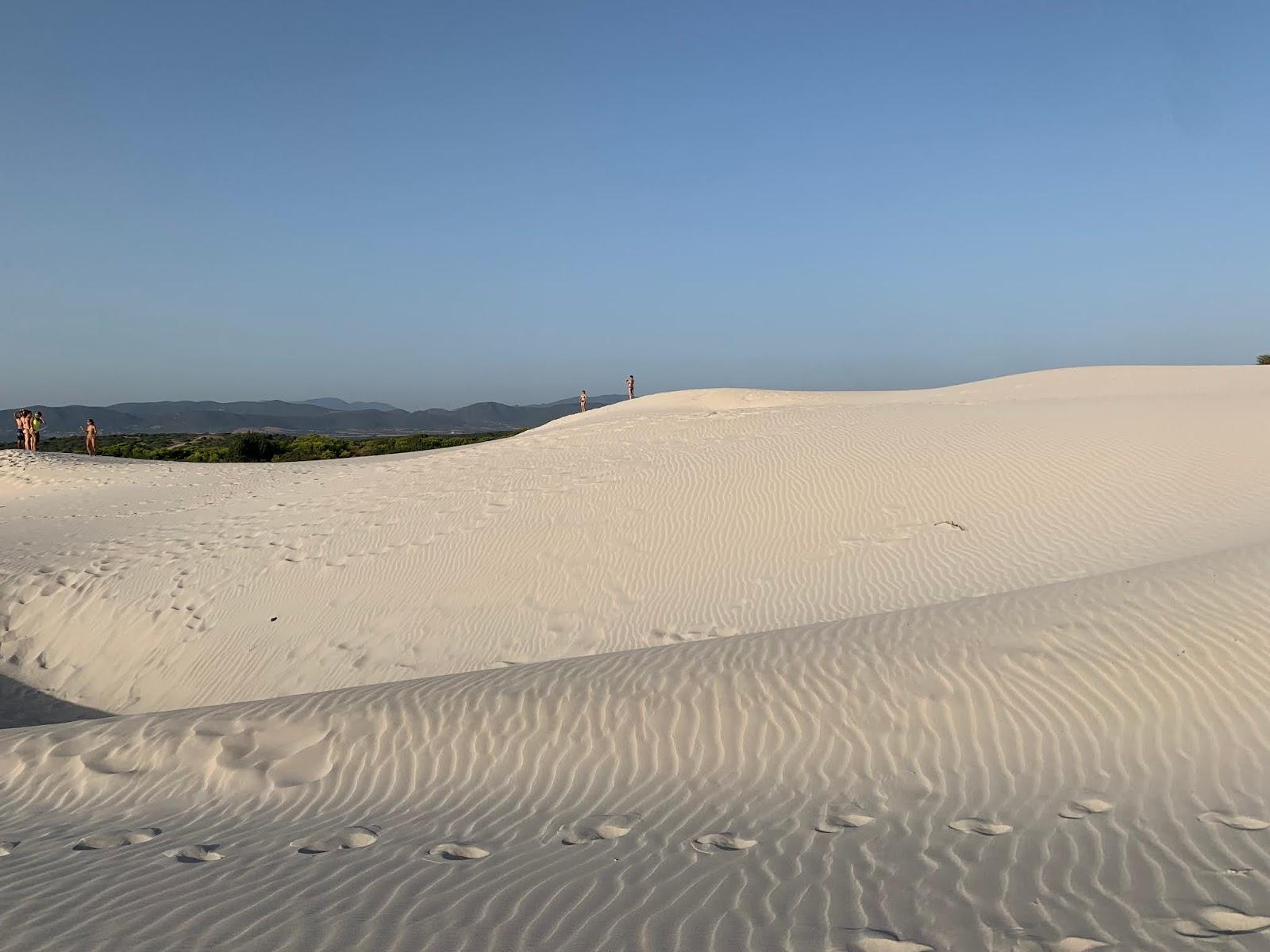 Sandee Spiaggia Delle Dune