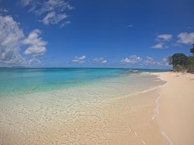 Sandee - Buck Island National Park