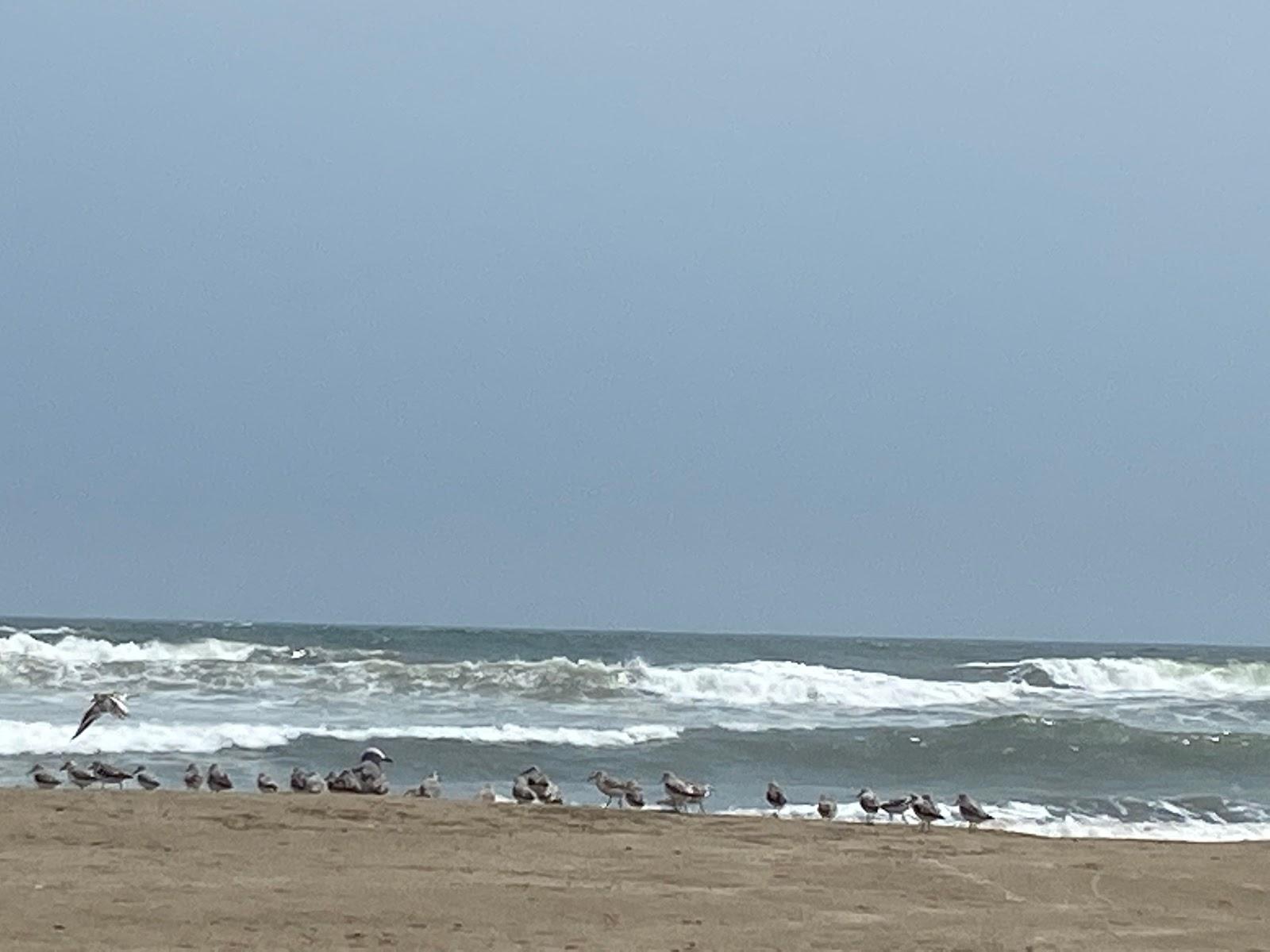 Sandee Rio Seco / Playa Del Rio