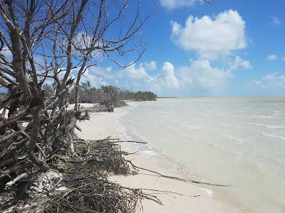 Sandee - Clubhouse Beach