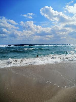 Sandee - Atlantic Dunes Park