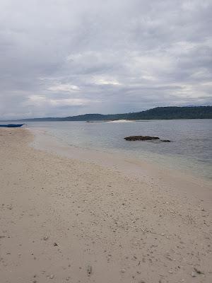 Sandee - Saubeba Island