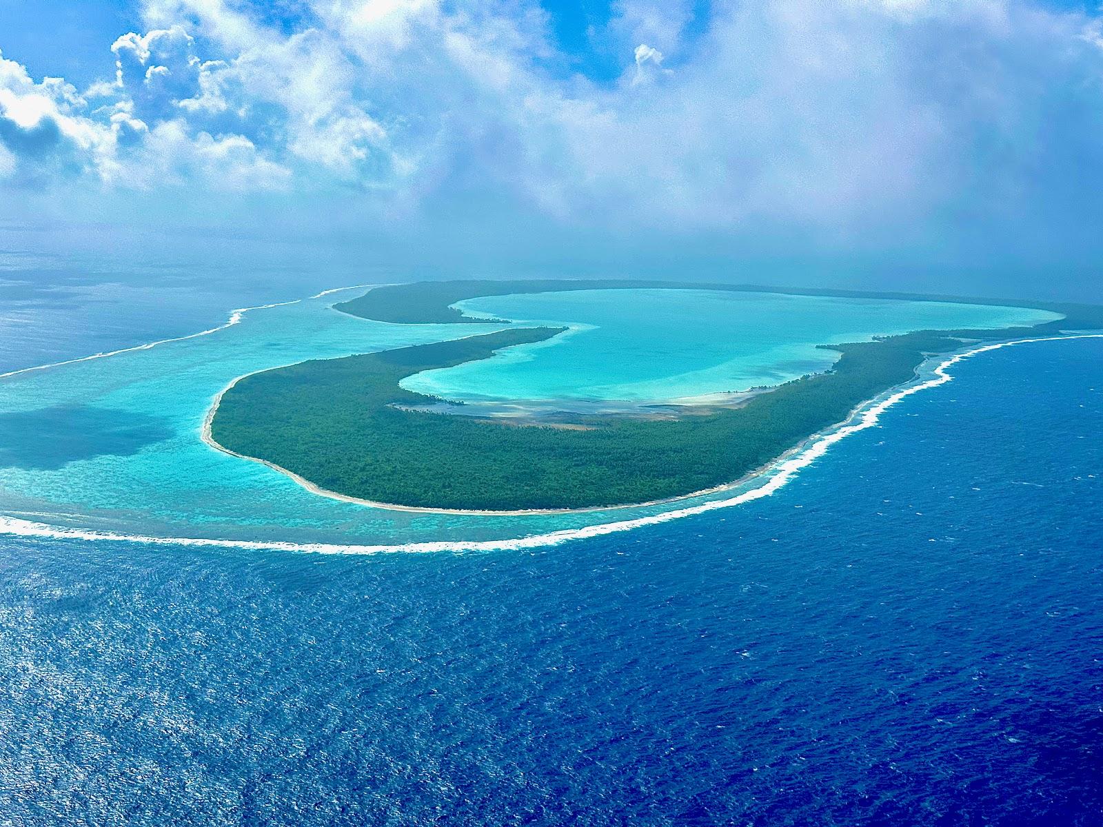 Tupai Photo - Sandee