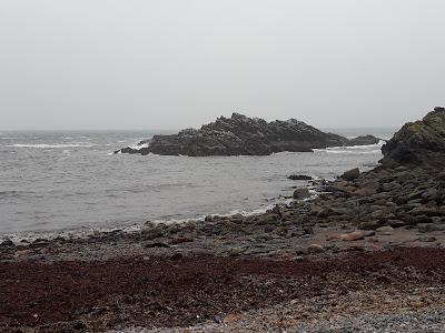 Sandee - Muckle Shore