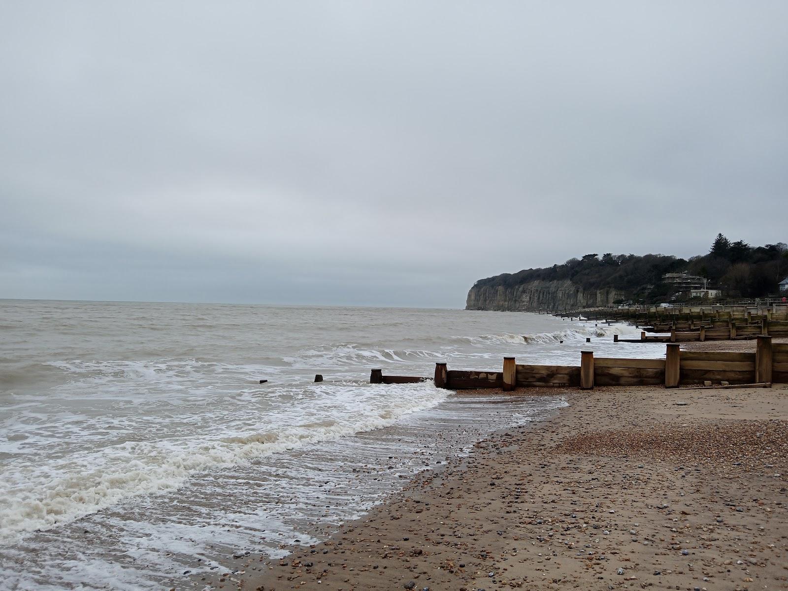 Sandee Pett Level Beach Photo