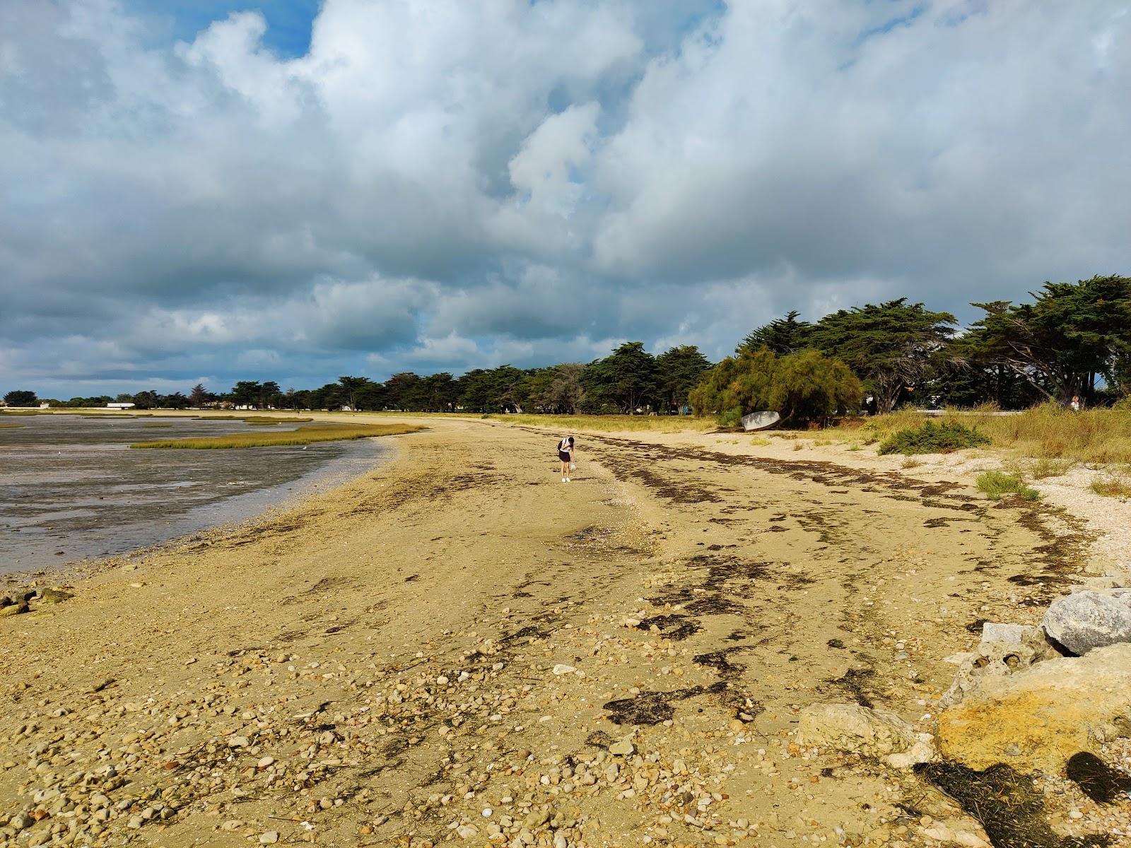 Sandee Plages Des Coquillages Photo