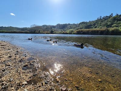 Sandee - Praia Fluvial Do Rebolim