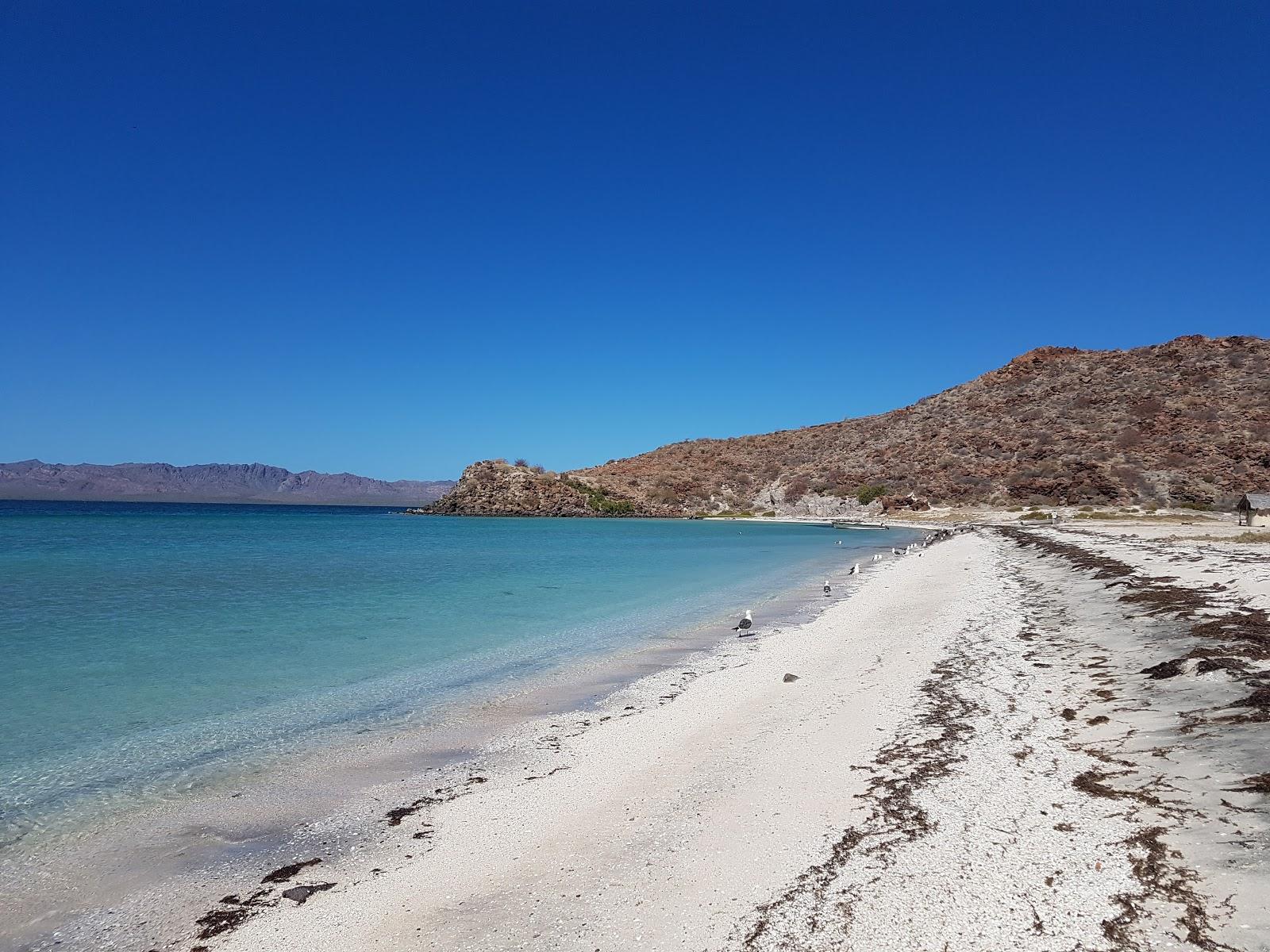 Sandee Playa Armenta