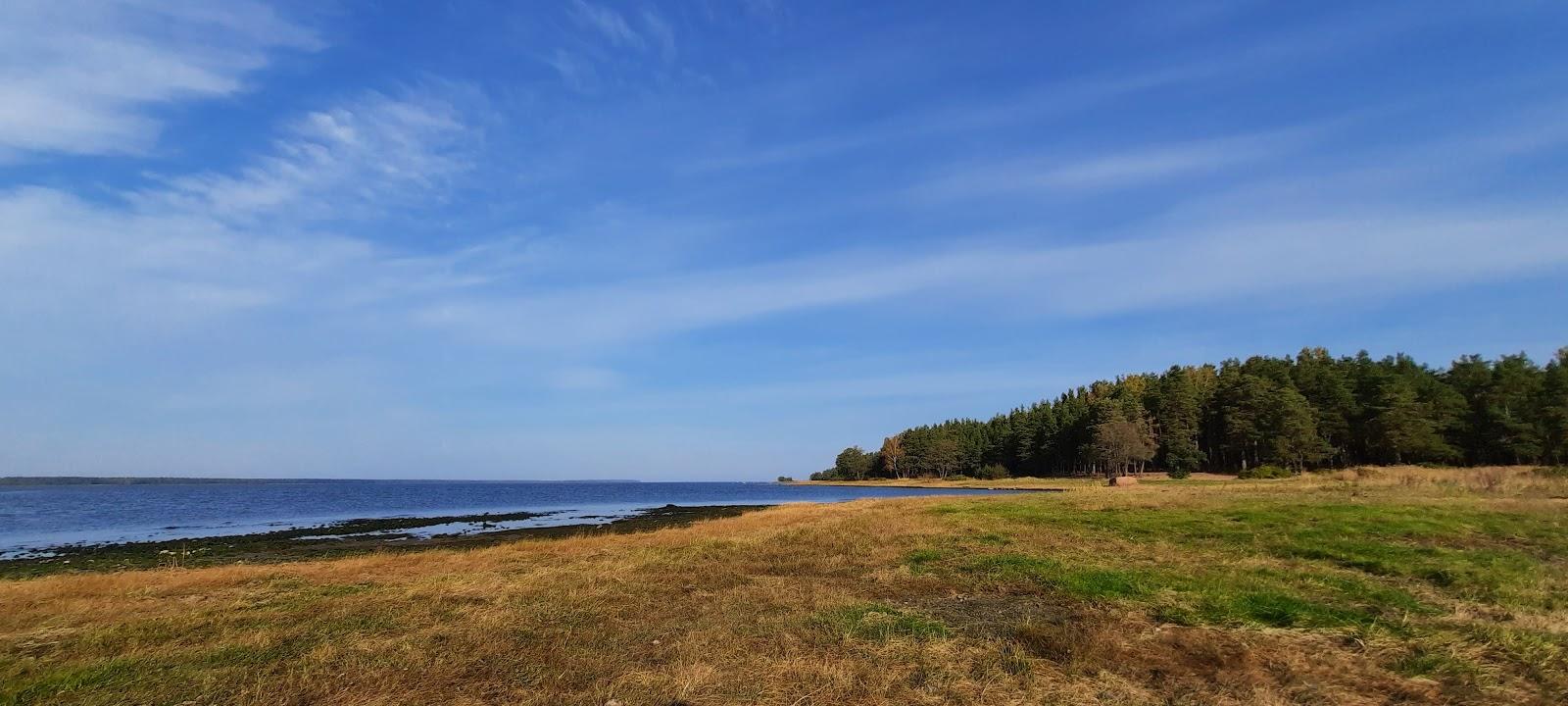 Sandee City Beach In Primorsk