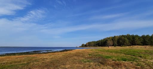 Sandee City Beach In Primorsk Photo