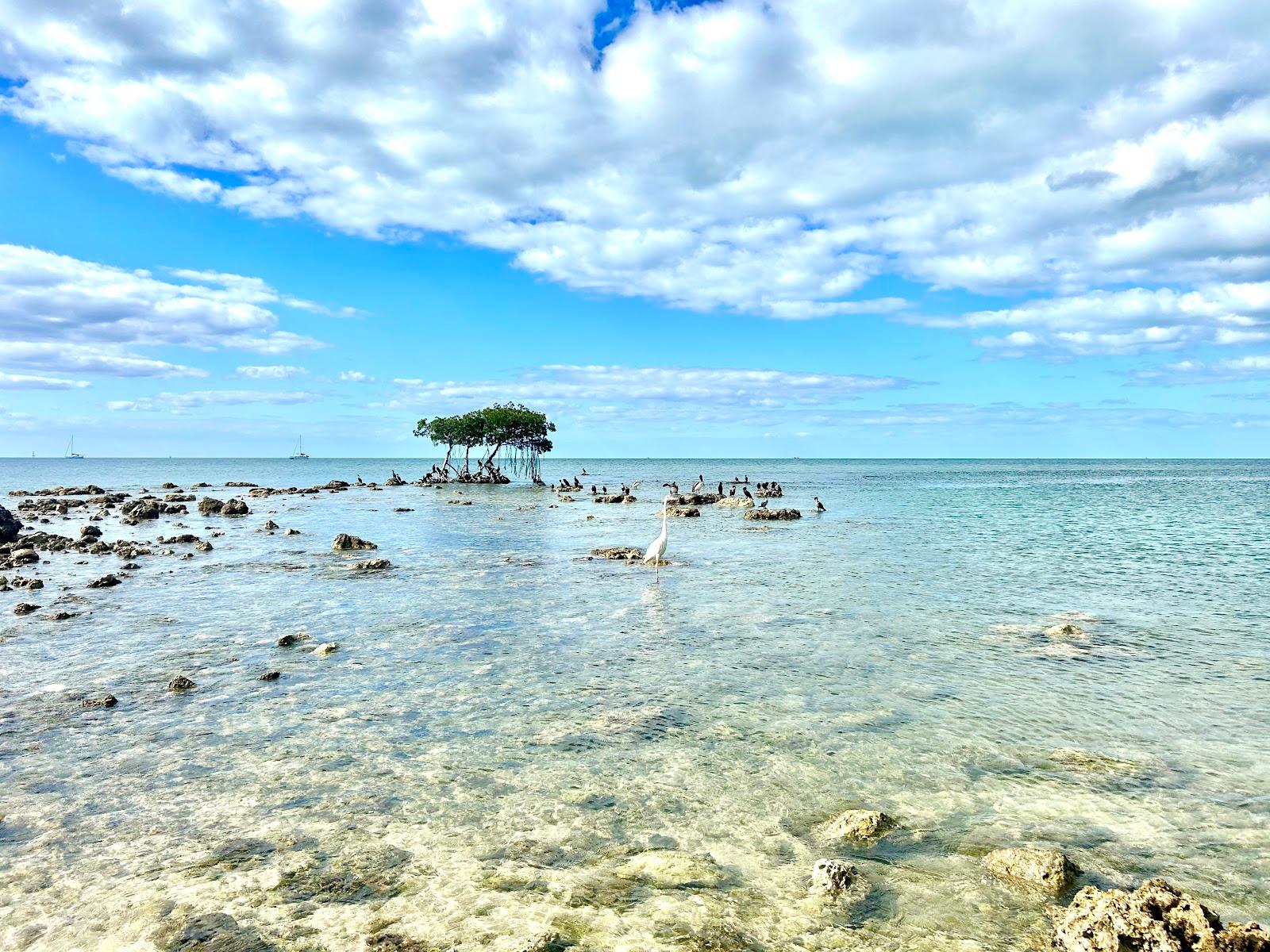 Sandee Sea Oats Beach Photo