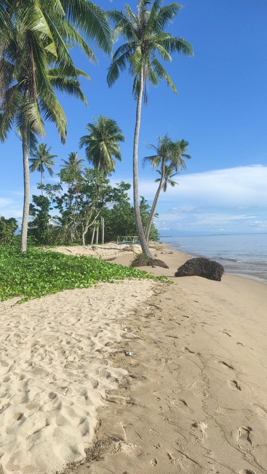 Sandee Pantai Masi