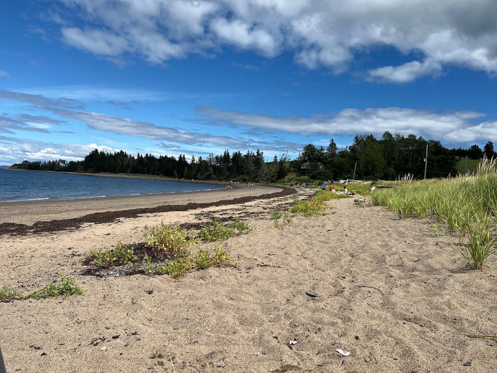 Sandee Bachman's Beach