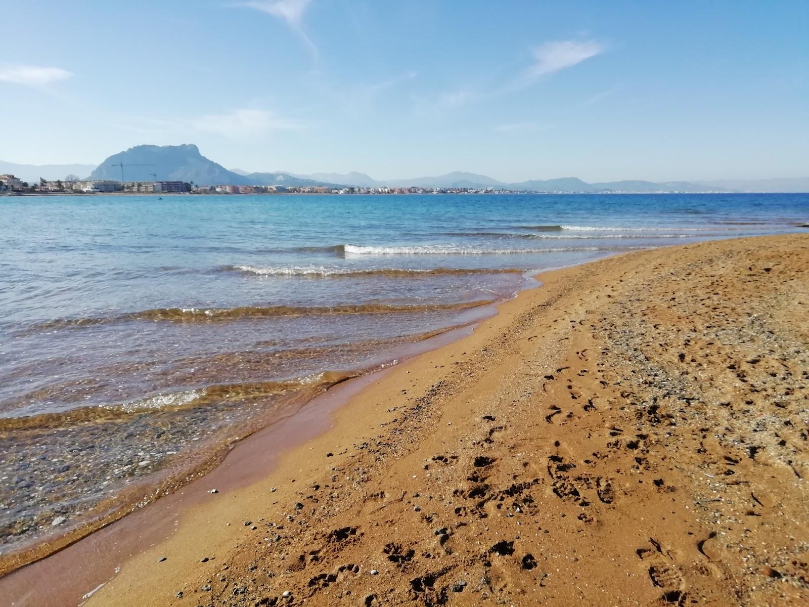 Sandee Molinos Y Palmeras / Punta Dels Molins
