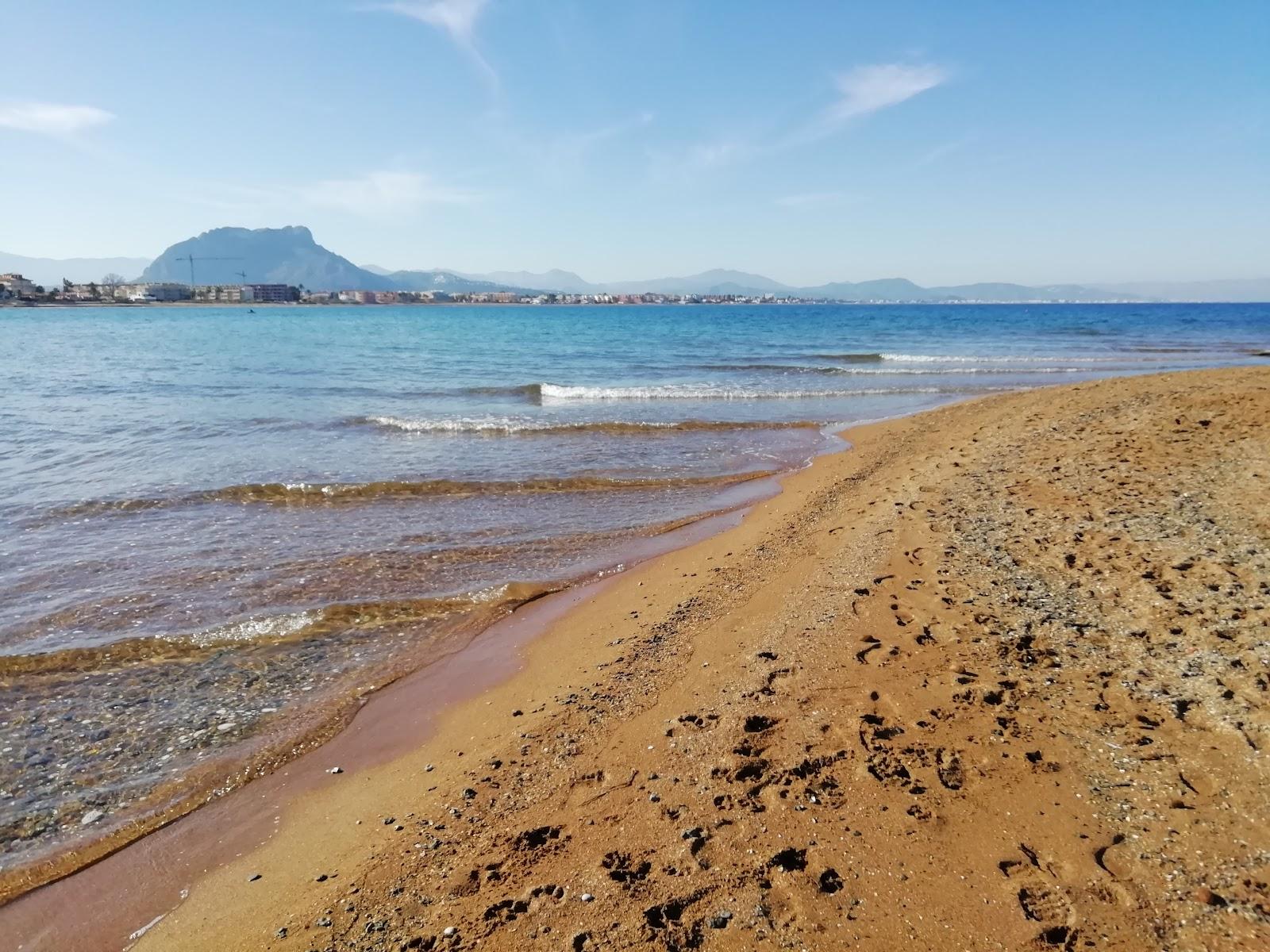 Sandee Molinos Y Palmeras / Punta Dels Molins Photo